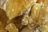 Free-Standing Golden Calcite - Chihuahua, Mexico #155804-2